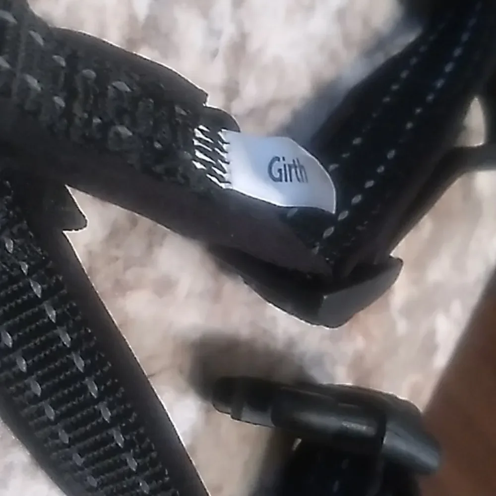 PetSafe  Harness